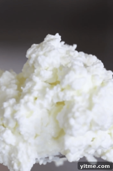 Homemade Ricotta: A Simple Culinary Delight 1 featured 16545