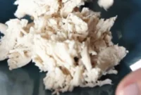 Effortless Shredding: The Ultimate Chicken & Turkey Hack