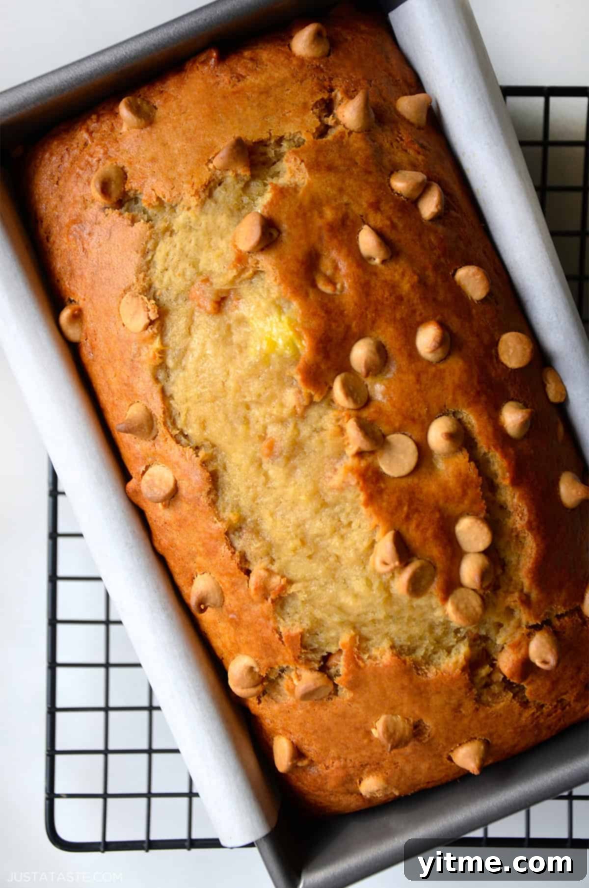 Peanut Butter Banana Bliss Bread 1 featured 20889