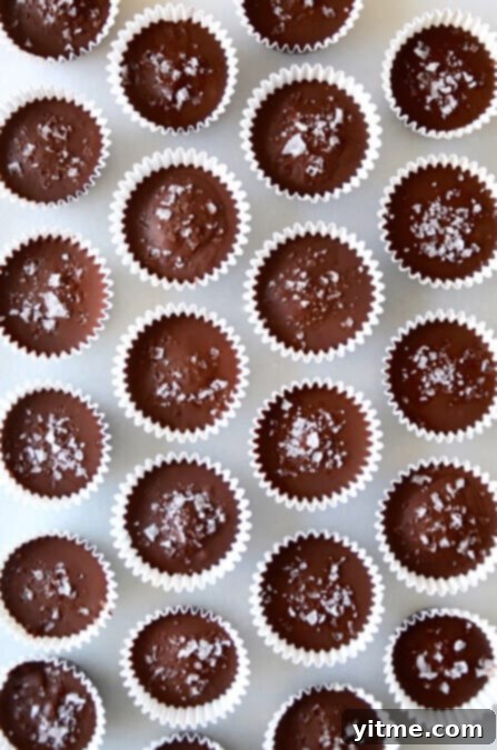 Delicious DIY Holiday Treats 1 featured 21039