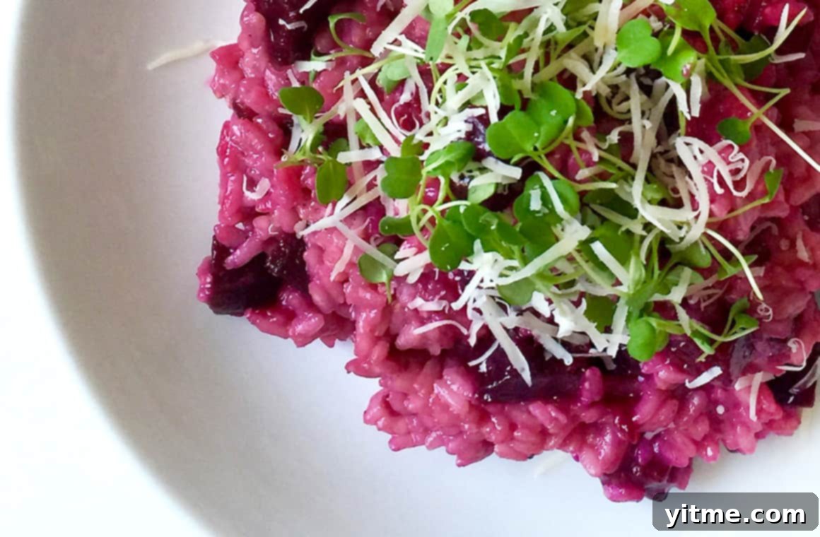 Beets: Fresh From the Earth 1 featured 28144