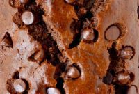 Decadent Chocolate Banana Loaf