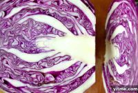 Cabbage Harvest: Fresh and Flavorful