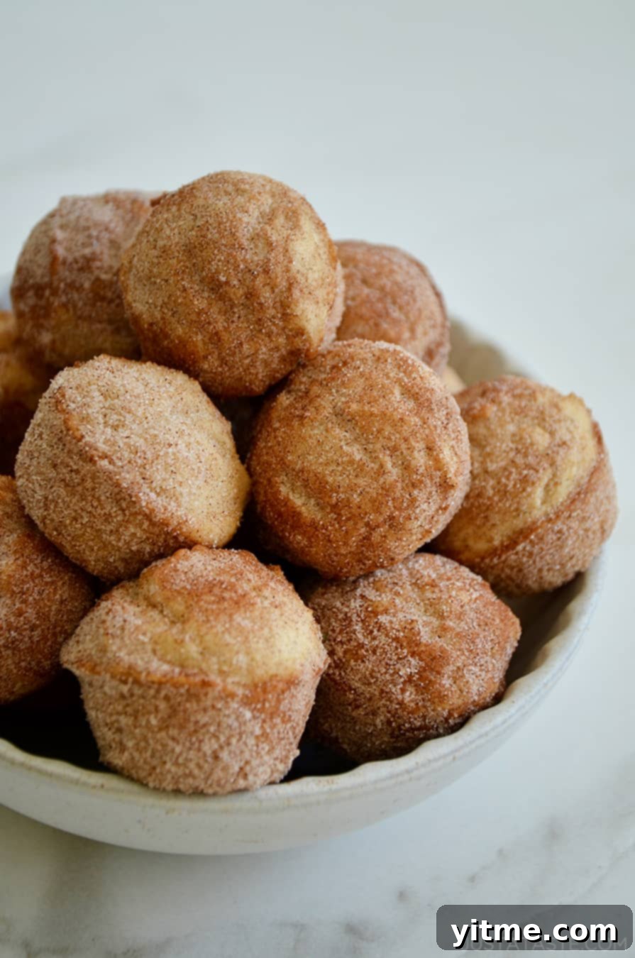 Sour Cream Doughnut Bites 1 featured 46222