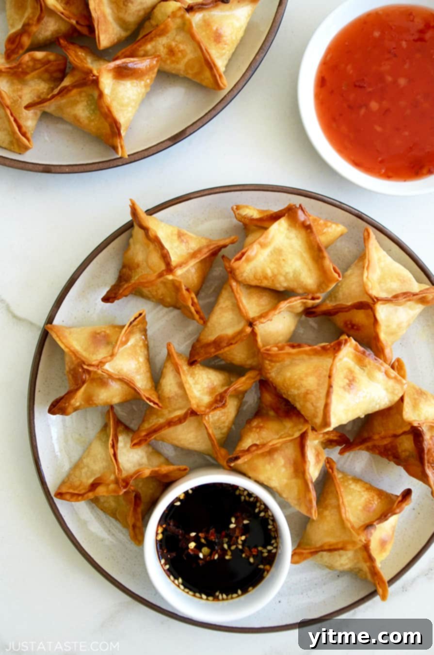 Creamy Air Fryer Wonton Bites 1 featured 46243
