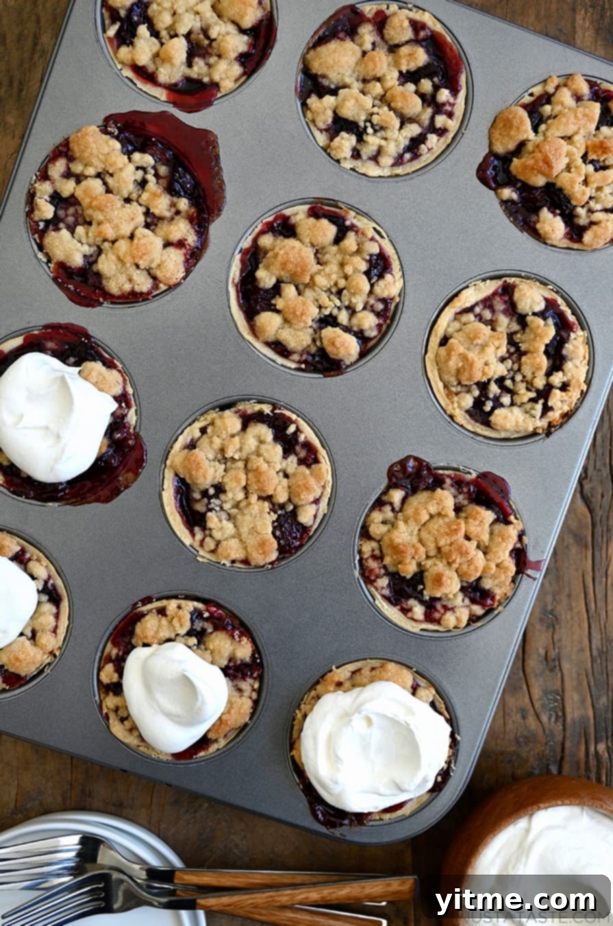 Streusel-Topped Cherry Pie Bites 1 featured 47653