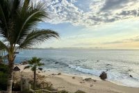 Kelly’s June 2025 Style File