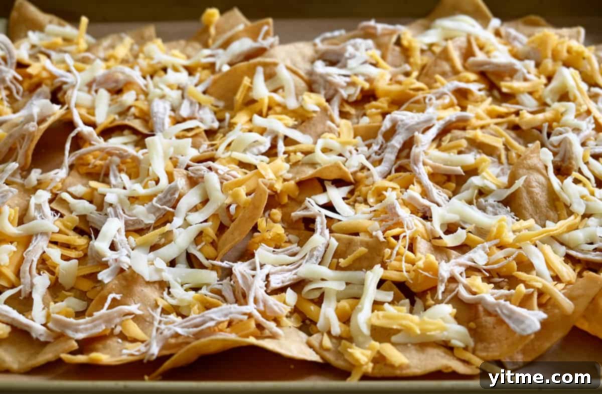 Tortilla chips topped with shredded cheddar and Monterrey jack cheeses, and shredded rotisserie chicken.