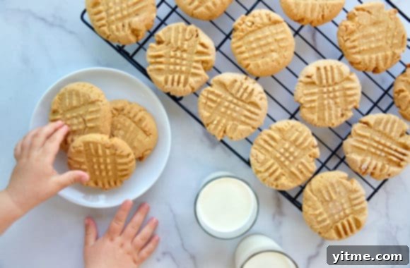 Homemade peanut butter cookies atop a wire cooling rack next to two glasses filled with milk and a child's hands reaching for plate of cookies 