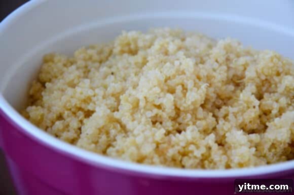 Quinoa Close-up of fluffy cooked quinoa