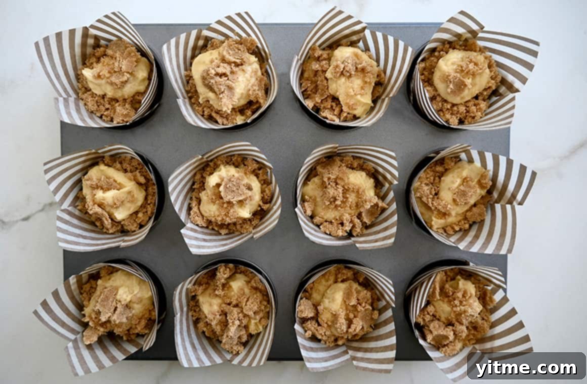 A top-down view of unbaked muffins topped with streusel in a lined muffin tin.
