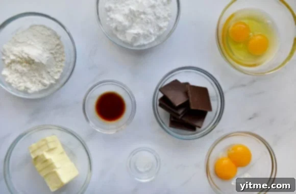 Small bowls containing confectioners' sugar, flour, eggs, chocolate, vanilla extract, salt and butter