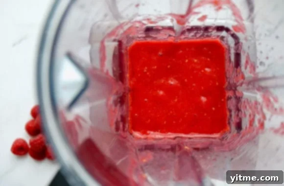 Blender containing fresh raspberry sauce