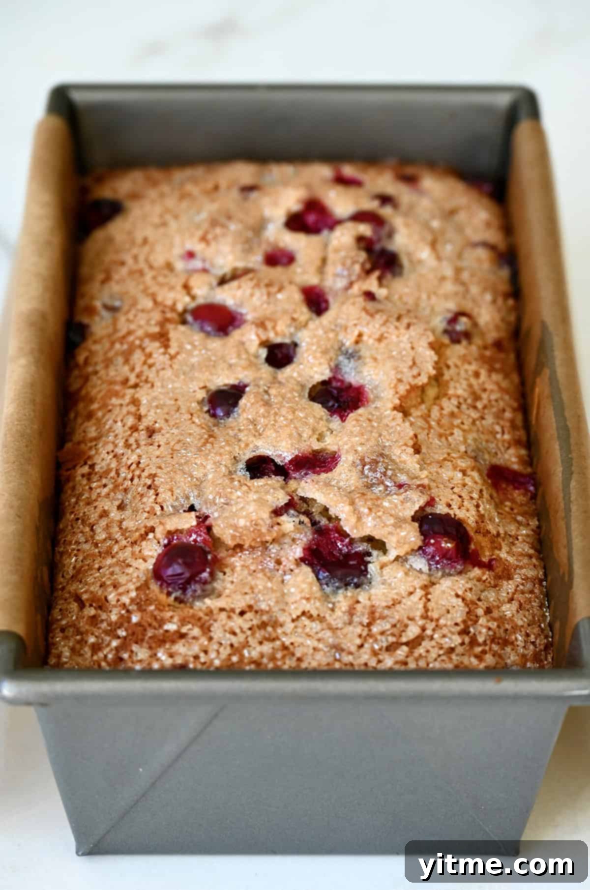 Freshly baked cranberry orange bread cooling in a loaf pan lined with parchment paper.