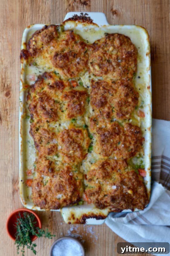 A white baking dish with golden-brown cheddar biscuit topped turkey pot pie, garnished with fresh herbs and a pinch of sea salt, ready to serve.