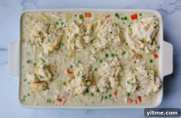A close-up of a white baking dish filled with bubbling turkey pot pie filling, topped with golden-brown, fluffy cheddar biscuits before baking.