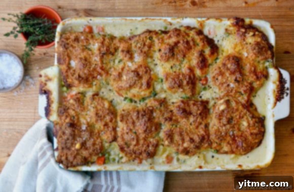 A freshly baked turkey pot pie with golden cheddar biscuits, cooling on a counter next to a dish of fresh herbs and a towel, showcasing its rustic homemade appeal.