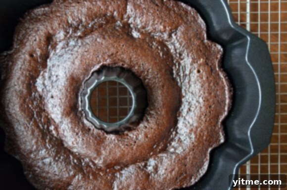 Chocolate gingerbread cake in a bundt pan