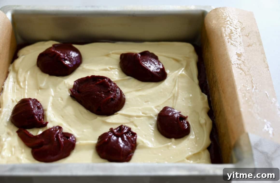 Dollops of brownie batter ready to be swirled into cheesecake layer