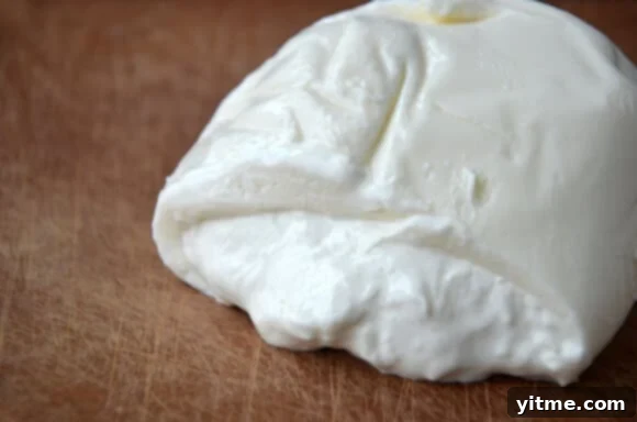 Burrata Cheese Recipe