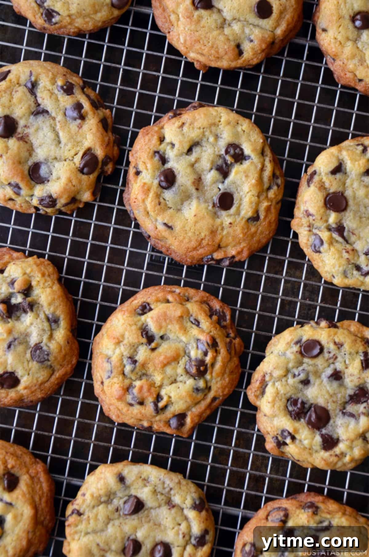 Golden brown chocolate chip cookies cooling on a wire rack.