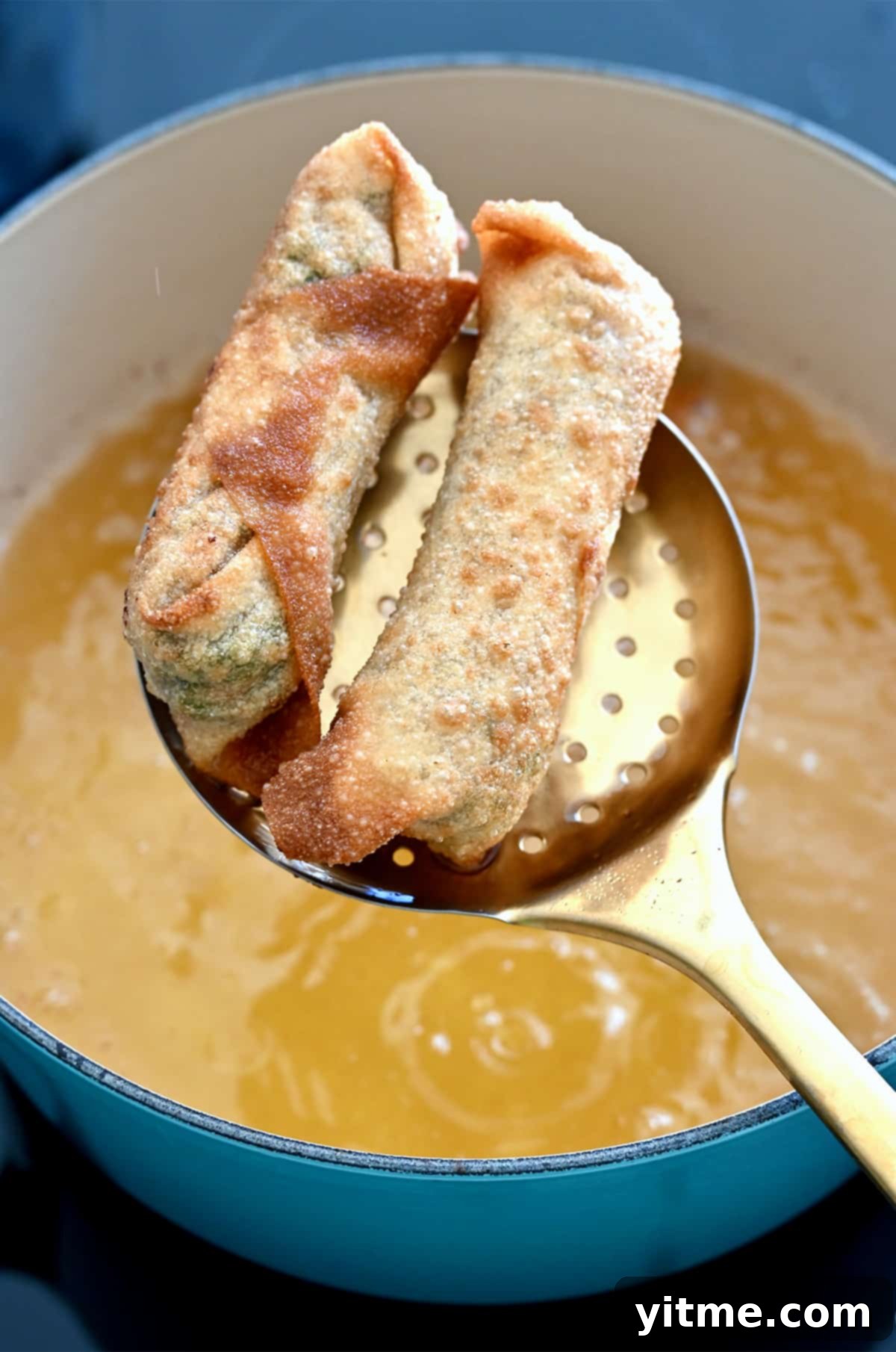 Two freshly fried, golden-brown egg rolls being lifted from a large pot of hot oil with a slotted spoon.
