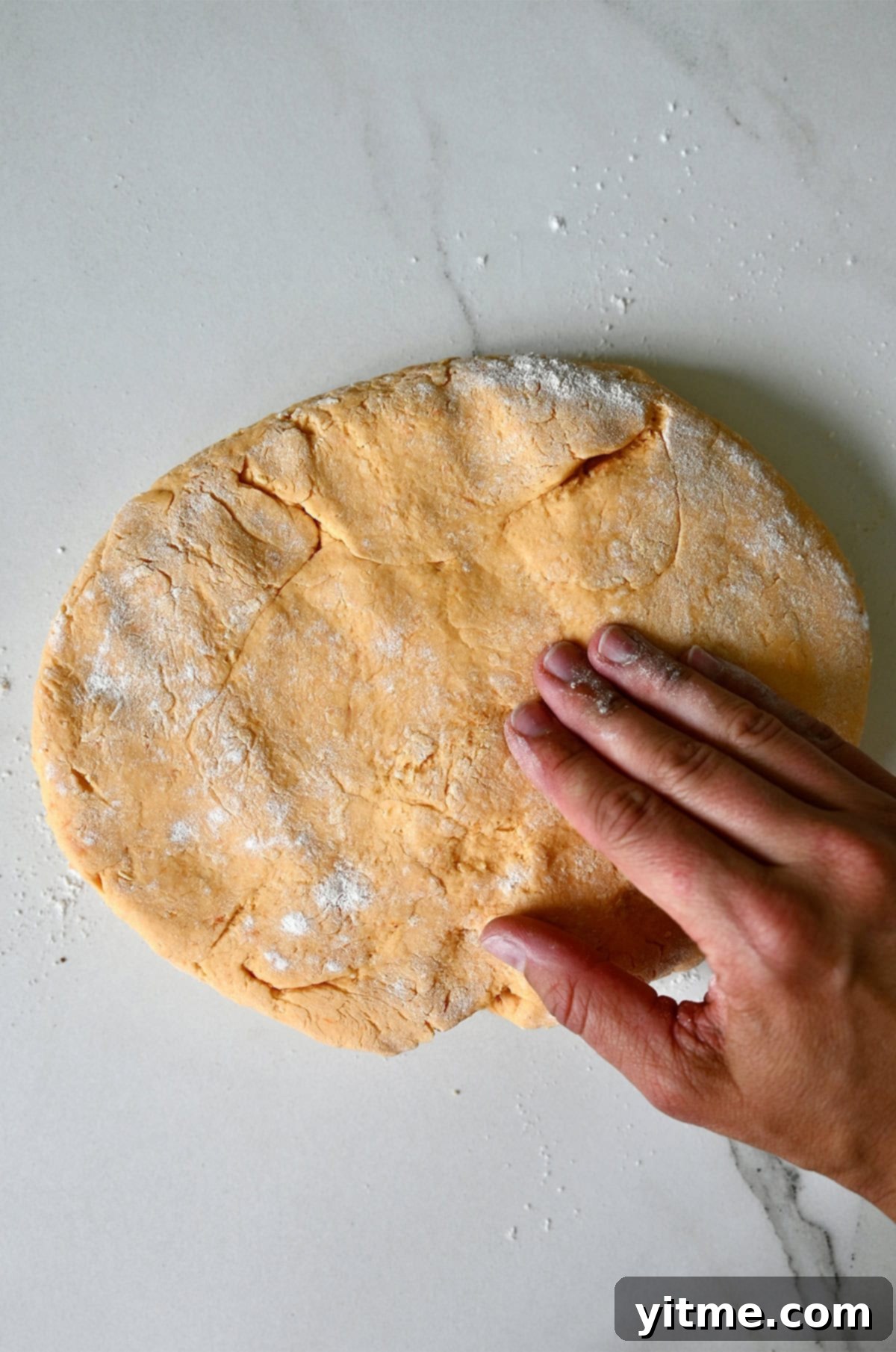Sweet Potato Gnocchi in Balsamic Brown Butter Sauce 6 Sweet potato gnocchi dough on a lightly floured surface.