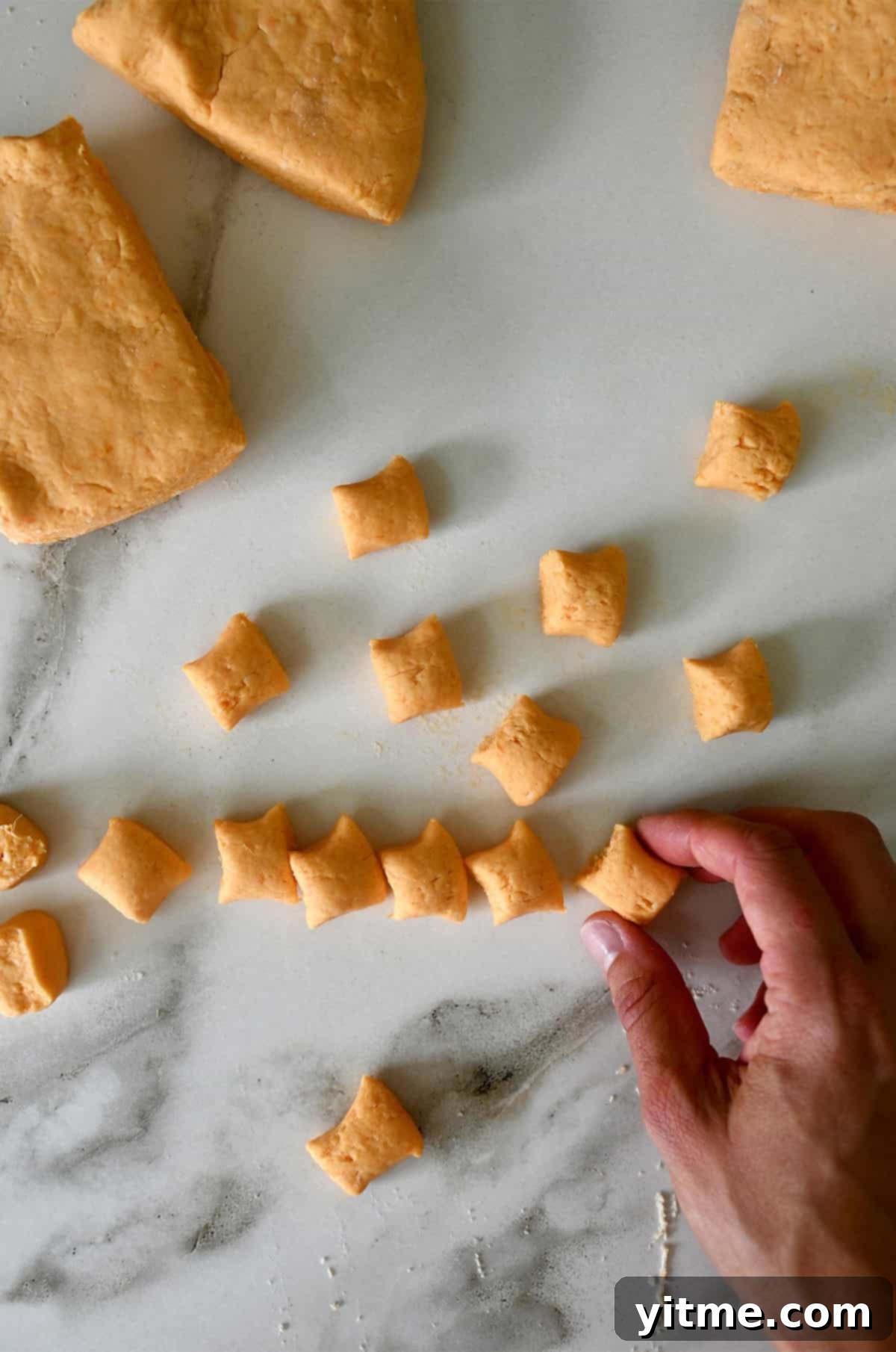 Sweet Potato Gnocchi in Balsamic Brown Butter Sauce 7 Rolling and cutting gnocchi into small pillows.