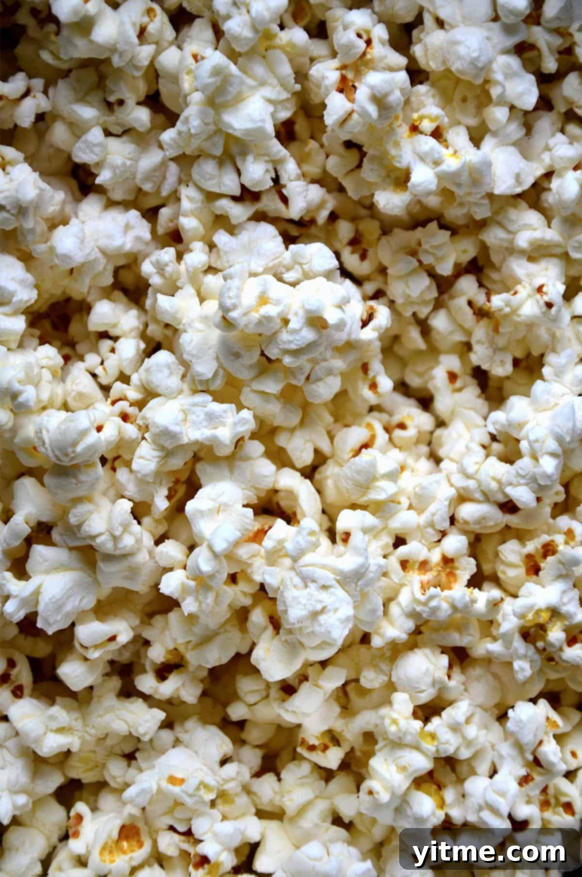 Plain popped popcorn