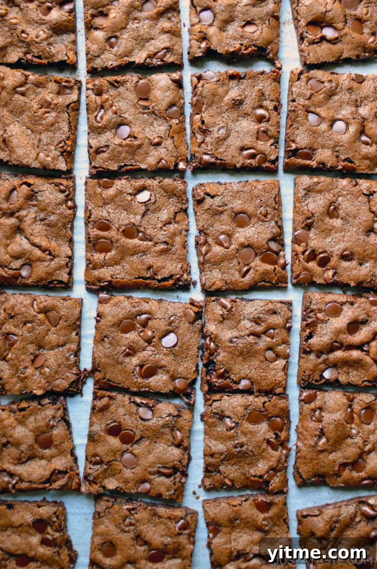 Fudgy Chocolate Brownie Shards 6 Rows of perfectly baked chocolate chip brownie bark, ready to be broken into individual pieces.