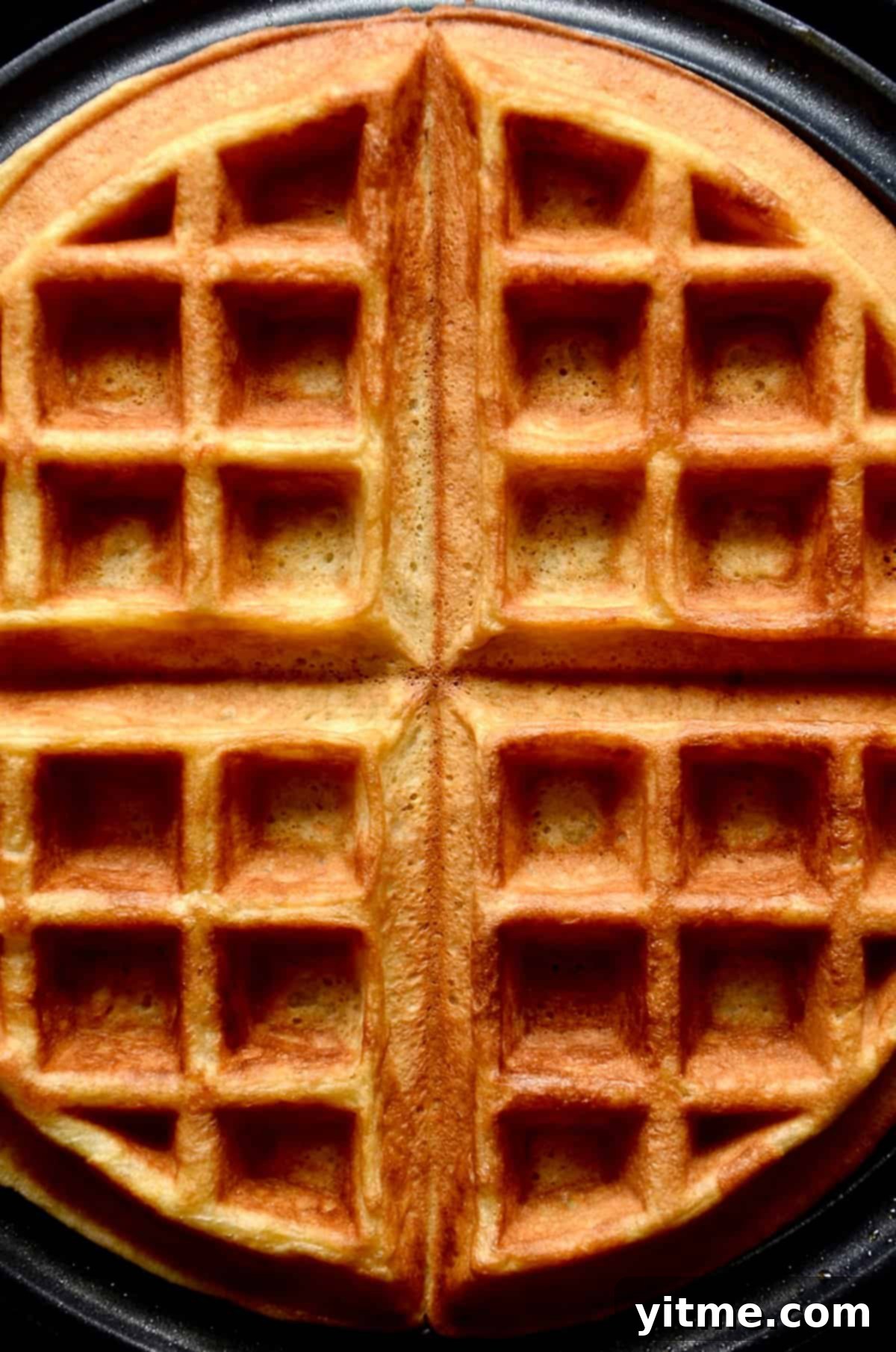Golden Belgian Waffles From Scratch 11 Crispy, golden Belgian waffle in a waffle iron.