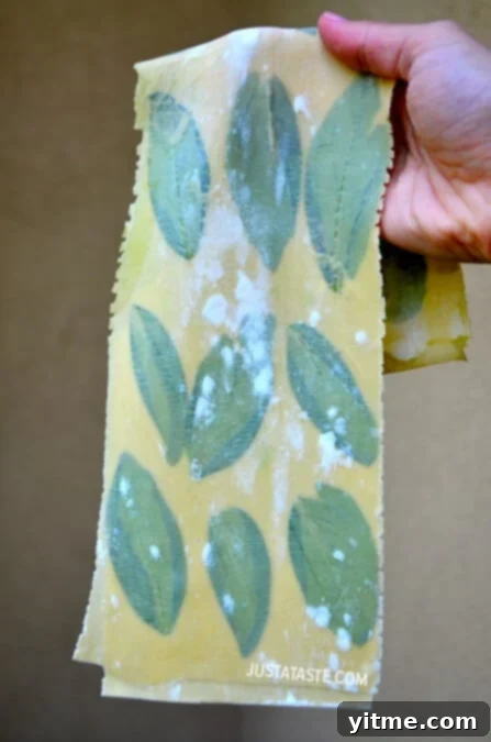 Laminated Basil Pasta with Garlic Brown Butter Sauce Recipe Laminated Basil Pasta with Garlic Brown Butter Sauce Recipe