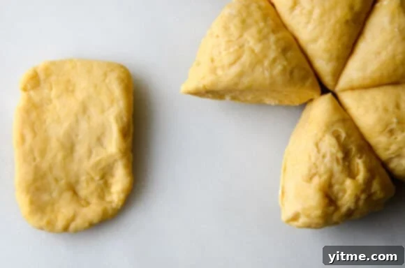 Laminated Basil Pasta with Garlic Brown Butter Sauce Recipe Laminated Basil Pasta with Garlic Brown Butter Sauce Recipe