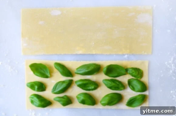 Laminated Basil Pasta with Garlic Brown Butter Sauce Recipe Laminated Basil Pasta with Garlic Brown Butter Sauce Recipe