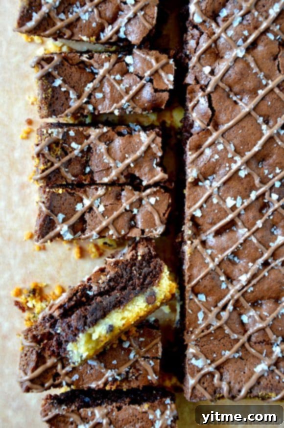 Sliced Chocolate Chip Shortbread Brownies