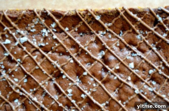 Chocolate Chip Shortbread Brownies with chocolate drizzle and large flake sea salt