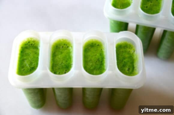 Refreshing Green Juice Pops 4 Green Juice Popsicles - Fresh Ingredients