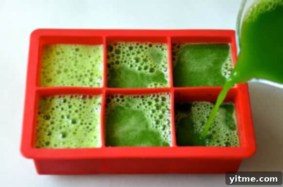Refreshing Green Juice Pops 5 Green Juice Popsicles - Easy Blender Recipe