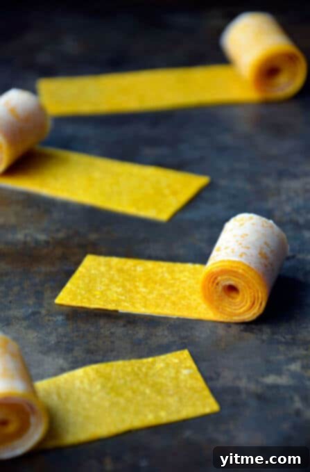 Healthy Homemade Mango Fruit Roll-Ups