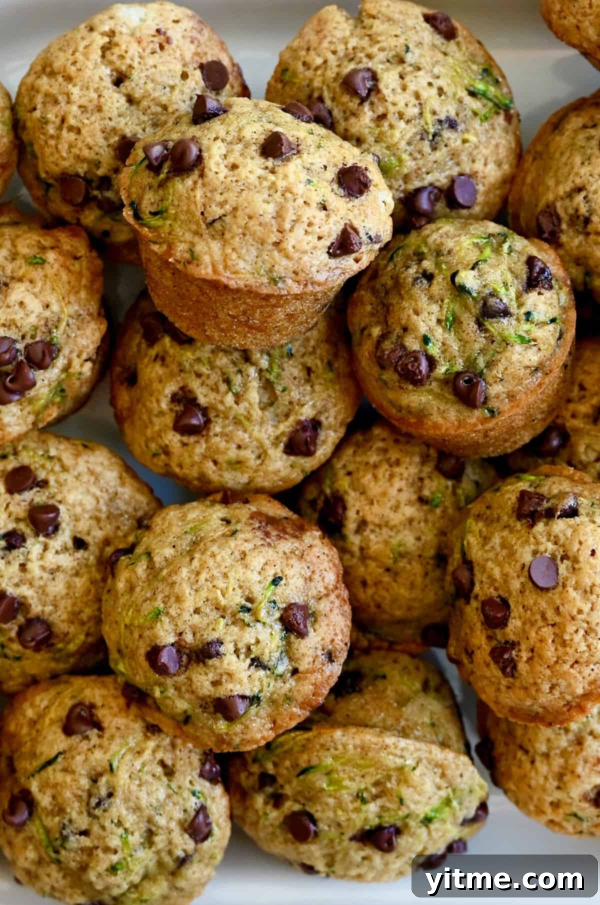 Mini zucchini muffins studded with mini chocolate chips.