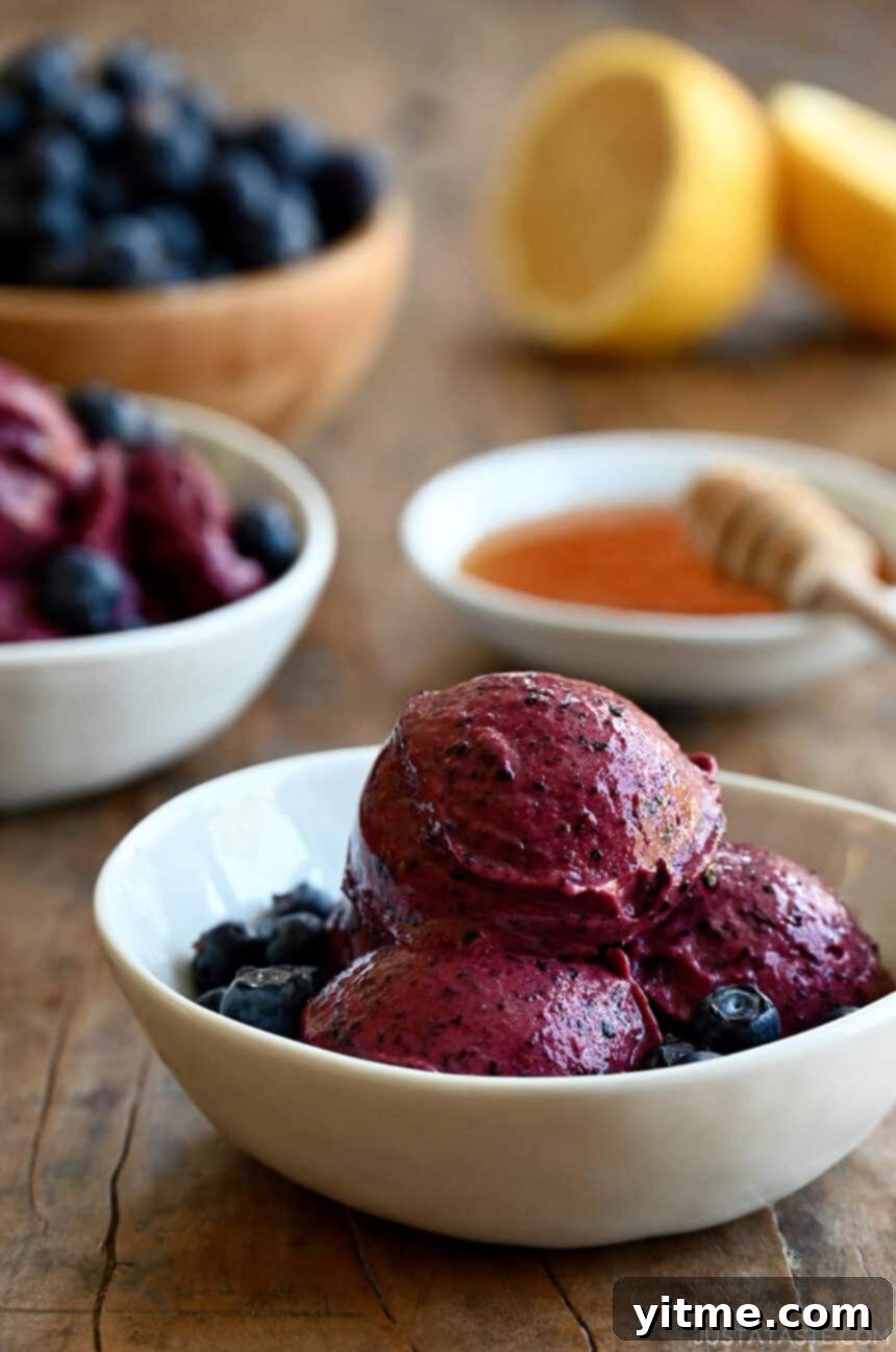 Three scoops of vibrant blueberry frozen yogurt in a pristine white bowl, garnished with a sprinkle of fresh blueberries, emphasizing its fresh and healthy appeal.