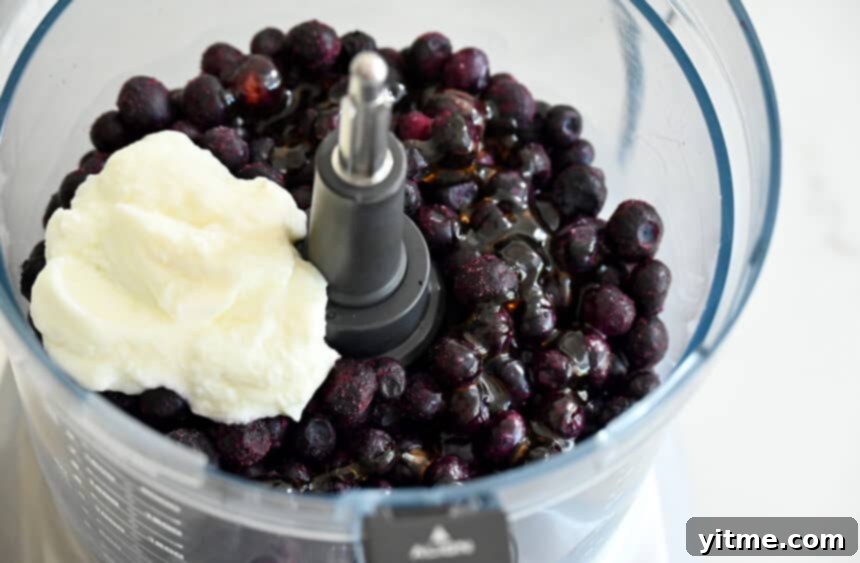A food processor bowl filled with the key ingredients for blueberry frozen yogurt: frozen blueberries, golden honey, and creamy yogurt, ready to be blended into a delicious dessert.