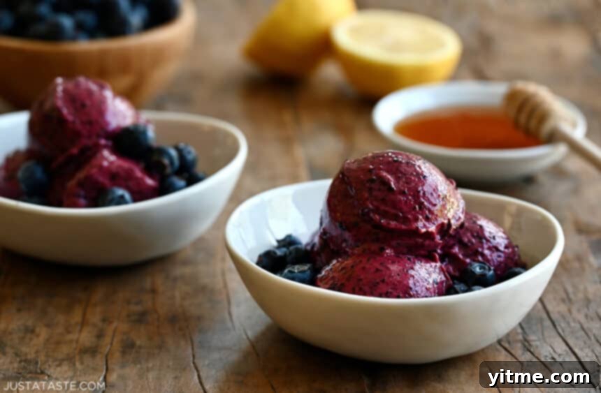 Two white bowls brimming with homemade blueberry frozen yogurt, fresh blueberries scattered around, and a small bowl of golden honey, all invitingly arranged on a pristine white surface.