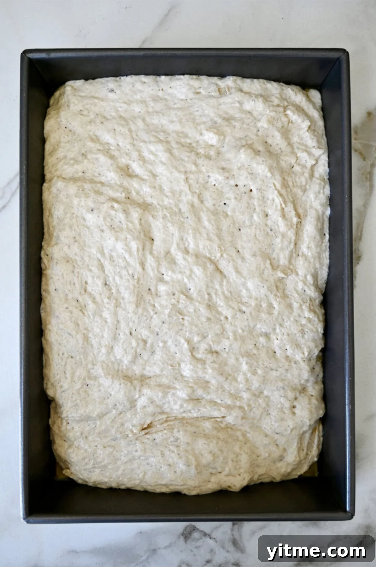 Proofed focaccia dough in a 9x13 baking pan.