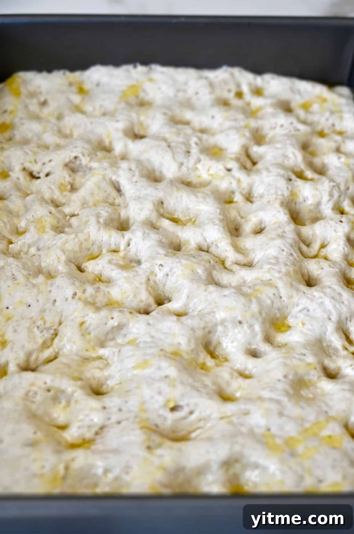 Dimpled focaccia dough with olive oil in each crevice.