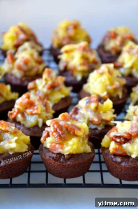 Decadent German Chocolate Brownie Bites with creamy coconut-pecan frosting