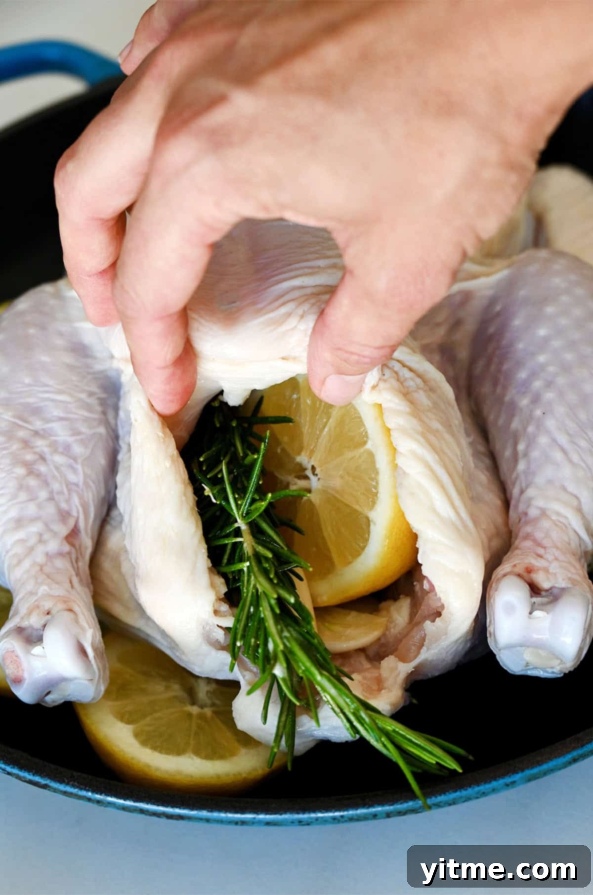 Lemon and rosemary inside an uncooked chicken.