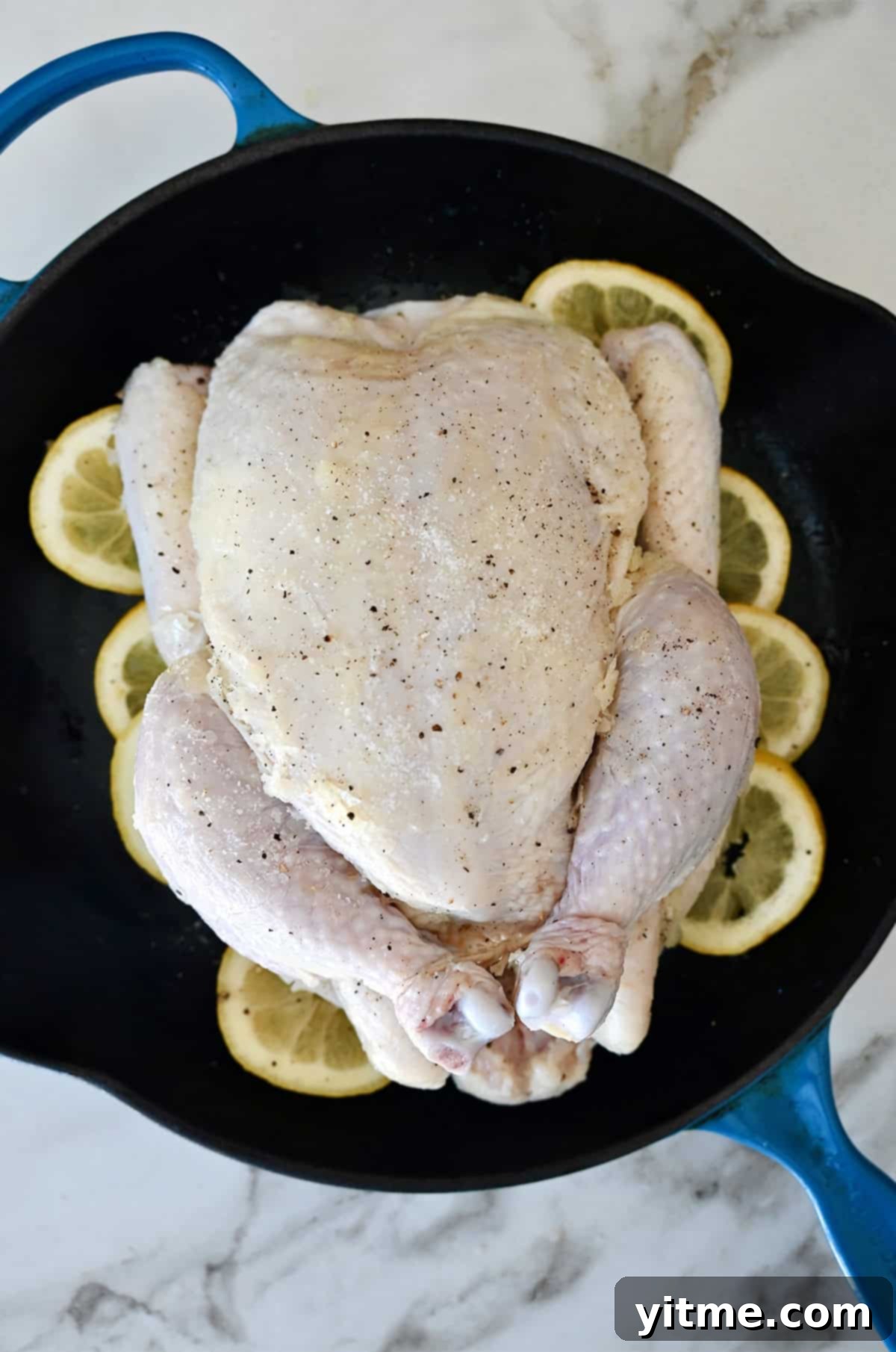 Unroasted chicken on lemon slices.