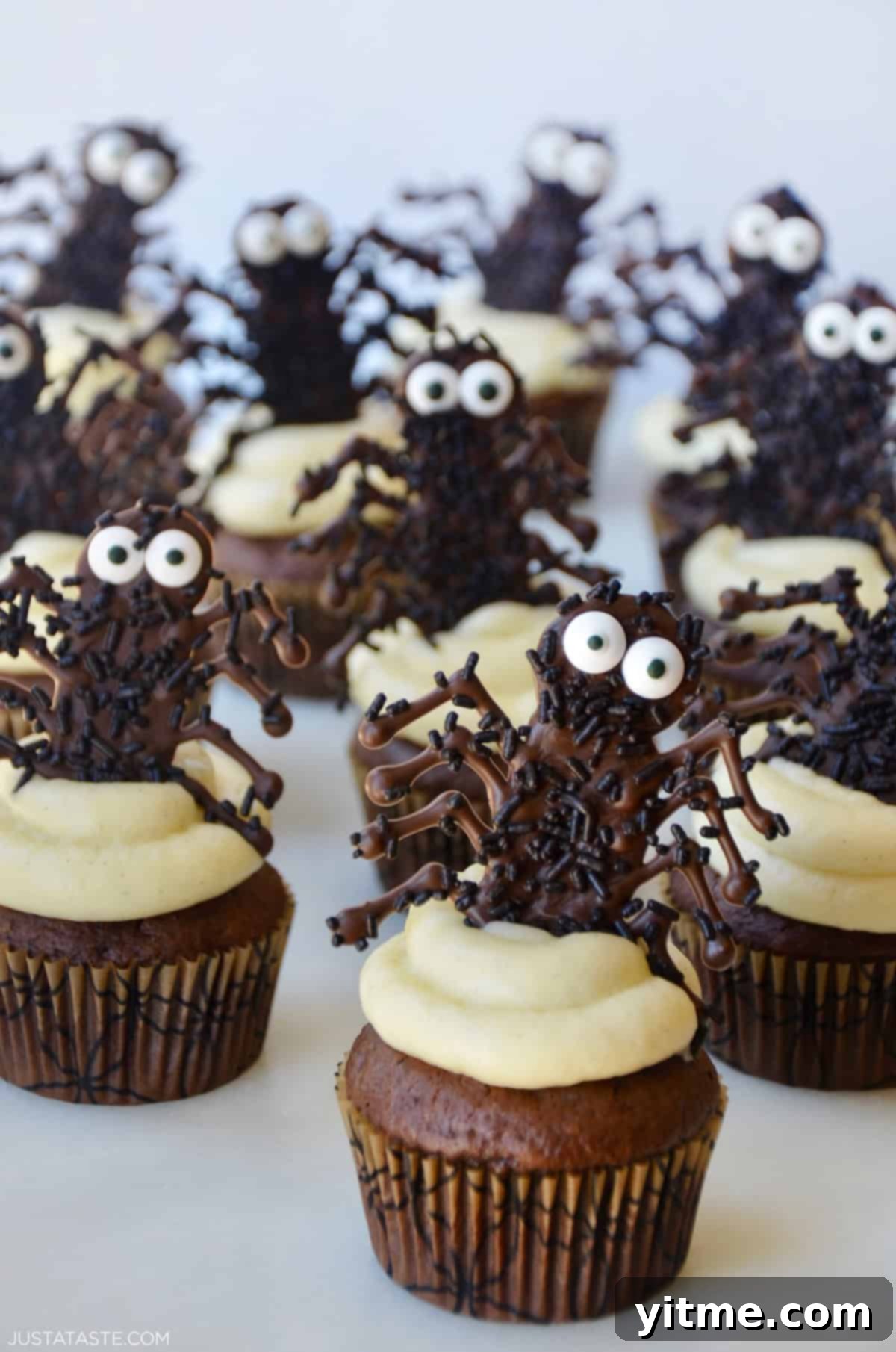 Chocolate spider cupcakes with buttercream frosting.