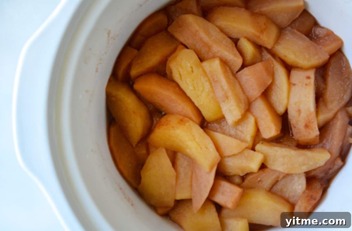 Cooked apple pieces in a slow cooker